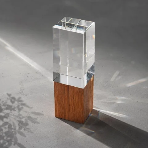 Награда «Wood and glass»