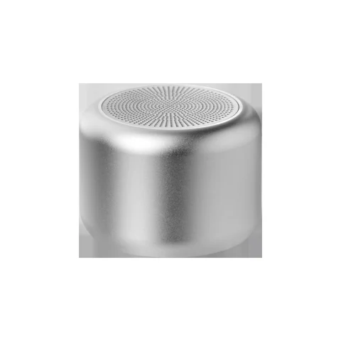 Беспроводная колонка Пэшн (Passion) 80dB 600 mAh (Bluetooth 5.0), серебряная