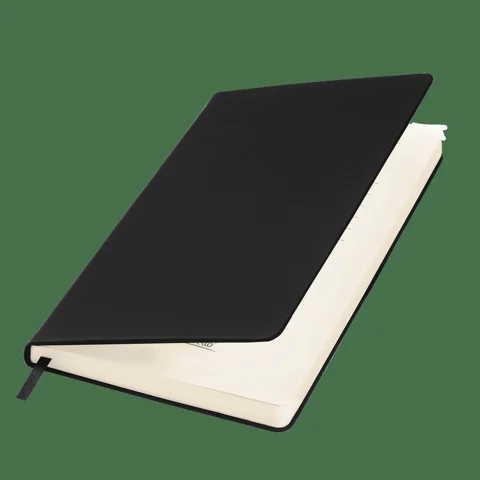 Ежедневник Альфа Битубук (Alpha BtoBook) недатированный, черный (без резинки, без упаковки, без стикера)